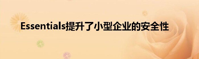Essentials提升了小型企业的安全性