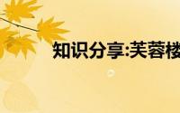 知识分享:芙蓉楼送辛渐古诗翻译