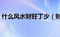 什么风水财旺丁少（财旺丁少的风水有哪些）