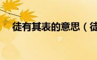 徒有其表的意思（徒有其表是什么意思）