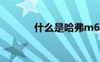 什么是哈弗m6上坡辅助按钮？