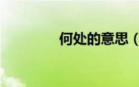 何处的意思（何处的含义）
