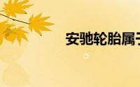 安驰轮胎属于哪个品牌？