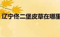 辽宁佟二堡皮草在哪里（什么是佟二堡皮草）
