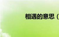 相遇的意思（相遇的含义）