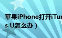 苹果iPhone打开iTunes（Store却显示iTunes U怎么办）