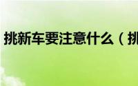 挑新车要注意什么（挑新车具体要注意什么）