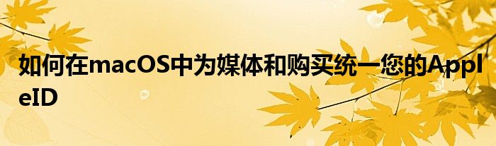 如何在macOS中为媒体和购买统一您的AppleID