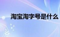 淘宝淘字号是什么（淘字号怎么申请）