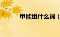 甲能组什么词（甲能组哪些词）