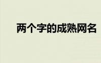 两个字的成熟网名（成熟网名 两个字）