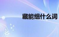 藏能组什么词（用藏字组词）