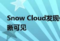 Snow Cloud发现使SaaSIaaS使用情况更清晰可见