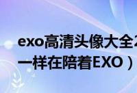 exo高清头像大全2016最新版（还有谁和我一样在陪着EXO）