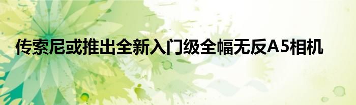 传索尼或推出全新入门级全幅无反A5相机