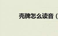壳牌怎么读音（壳牌如何读音）