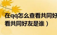 在qq怎么查看共同好友是谁（QQ怎么才能查看共同好友是谁）