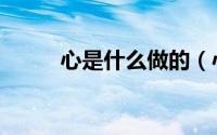 心是什么做的（心是肉做的对吗）