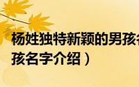 杨姓独特新颖的男孩名字（杨姓独特新颖的男孩名字介绍）