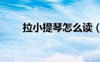 拉小提琴怎么读（拉小提琴如何读）