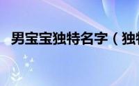 男宝宝独特名字（独特、好听的男孩名字）