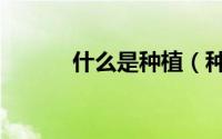 什么是种植（种植指的是什么）