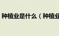 种植业是什么（种植业是即植物栽培业对吗）