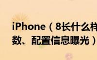 iPhone（8长什么样  iPhone 8外形准确参数、配置信息曝光）
