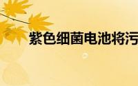 紫色细菌电池将污水转化为清洁能源