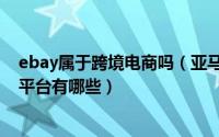 ebay属于跨境电商吗（亚马逊、ebay之外的九大跨境电商平台有哪些）