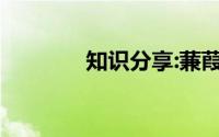 知识分享:蒹葭翻译全文赏析