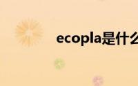 ecopla是什么品牌的轮胎？