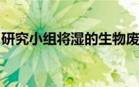 研究小组将湿的生物废物转化为柴油兼容燃料