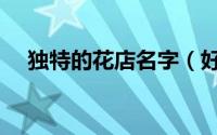 独特的花店名字（好听独特的花店名字）