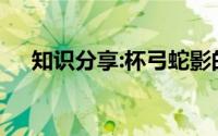 知识分享:杯弓蛇影的意思和寓意是什么