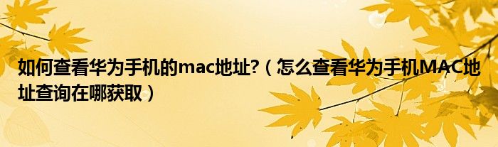 如何查看华为手机的mac地址?（怎么查看华为手机MAC地址查询在哪获取）