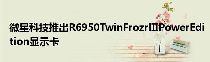 微星科技推出R6950TwinFrozrIIIPowerEdition显示卡