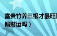 富贵竹养三根才最旺财（养三根富贵竹能增强偏财运吗）