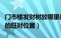 门市楼发财树放哪里最旺财（门市发财树摆放的旺财位置）