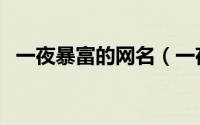 一夜暴富的网名（一夜暴富的网名好听的）