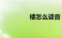 褛怎么读音（褛的含义）