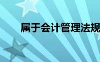 属于会计管理法规的下列各项中,是()