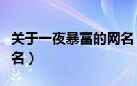 关于一夜暴富的网名（关于一夜暴富的唯美网名）