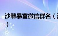 沙雕暴富微信群名（沙雕暴富微信群名有趣的）