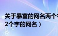 关于暴富的网名两个字（类似如暴富的旺财的2个字的网名）