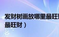 发财树画放哪里最旺财（发财树画放什么位置最旺财）