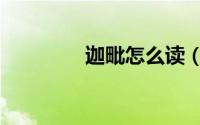 迦毗怎么读（迦毗的读音）