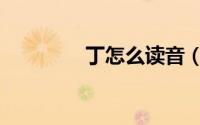 丁怎么读音（丁如何读音）