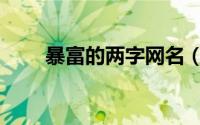 暴富的两字网名（发财网名两个字）