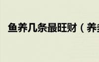 鱼养几条最旺财（养多少条鱼有什么寓意）